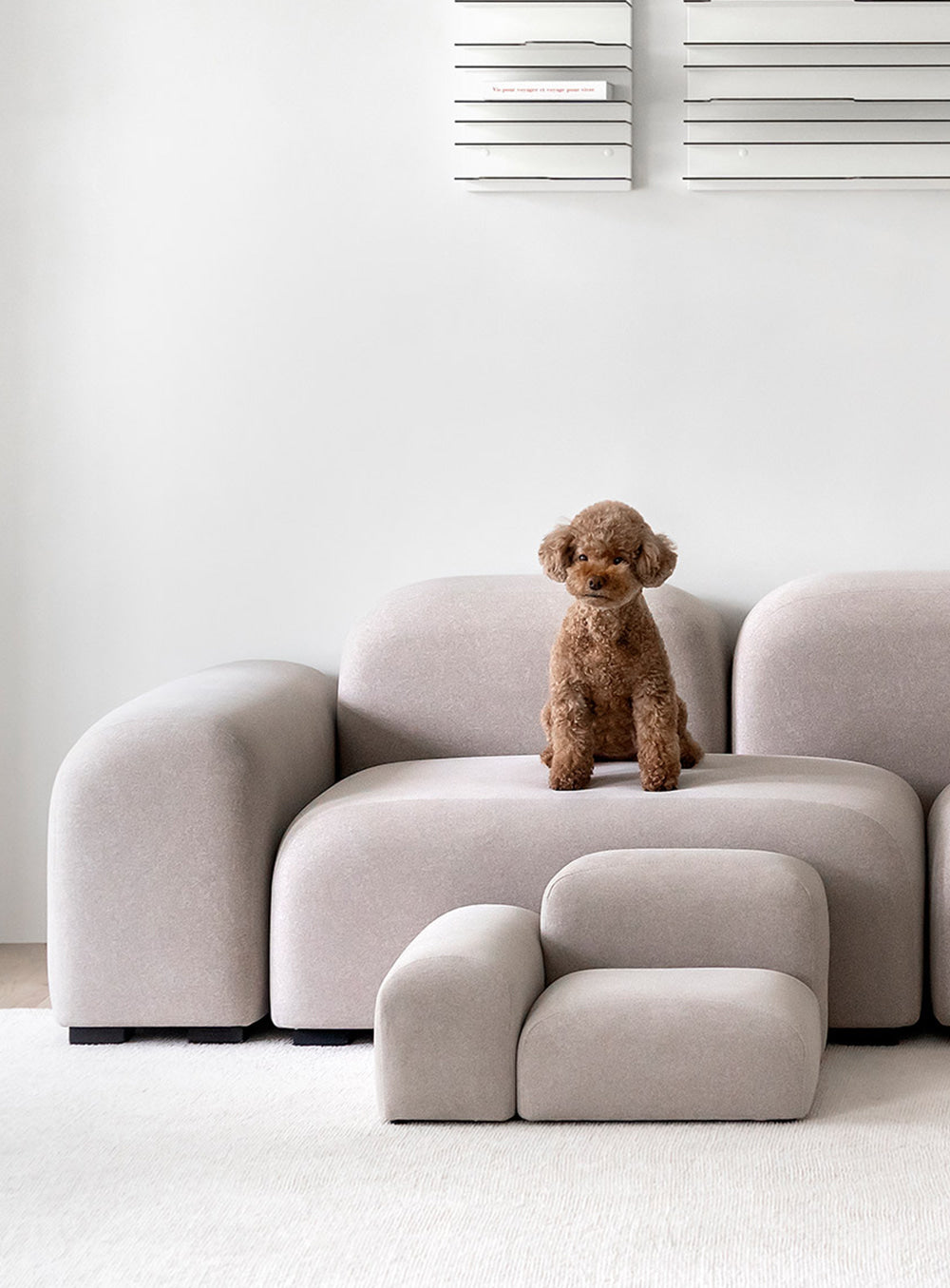 Pebble Pet Step – Movement Lab