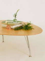 Prop Egg Low Table